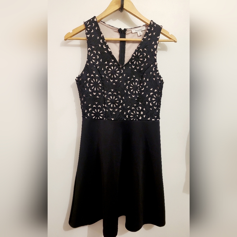 Francesca's Skater Skirt Lace Overlay Dress